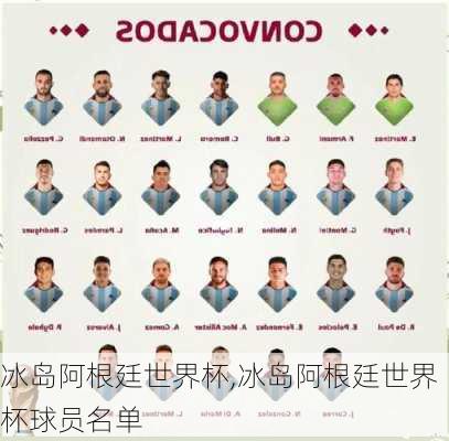 冰岛阿根廷世界杯,冰岛阿根廷世界杯球员名单