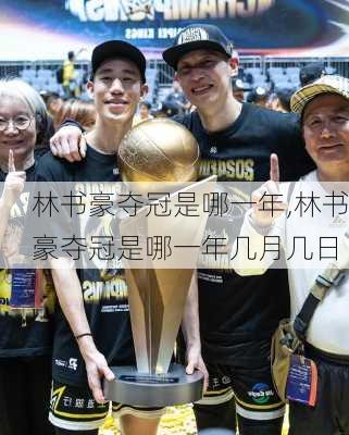 林书豪夺冠是哪一年,林书豪夺冠是哪一年几月几日