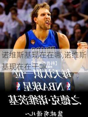 诺维斯基现在在哪,诺维斯基现在在干嘛