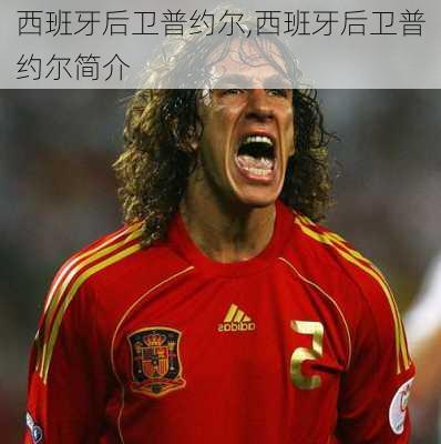 西班牙后卫普约尔,西班牙后卫普约尔简介