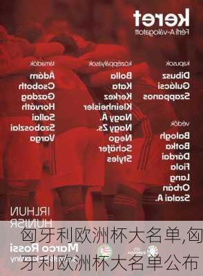 匈牙利欧洲杯大名单,匈牙利欧洲杯大名单公布