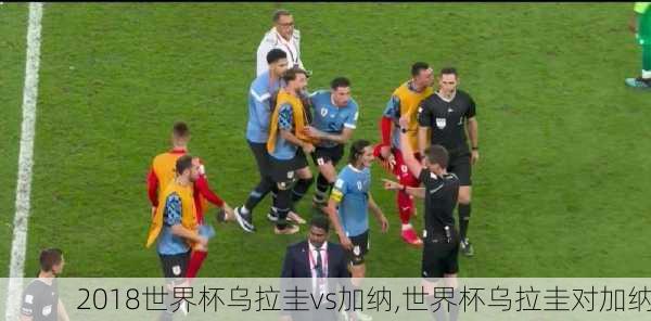 2018世界杯乌拉圭vs加纳,世界杯乌拉圭对加纳