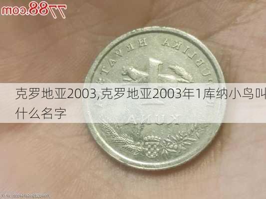 克罗地亚2003,克罗地亚2003年1库纳小鸟叫什么名字
