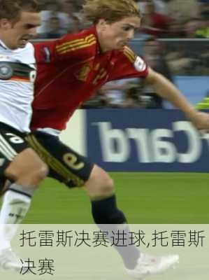 托雷斯决赛进球,托雷斯 决赛