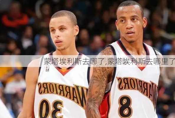 蒙塔埃利斯去哪了,蒙塔埃利斯去哪里了