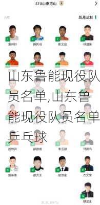 山东鲁能现役队员名单,山东鲁能现役队员名单乒乓球